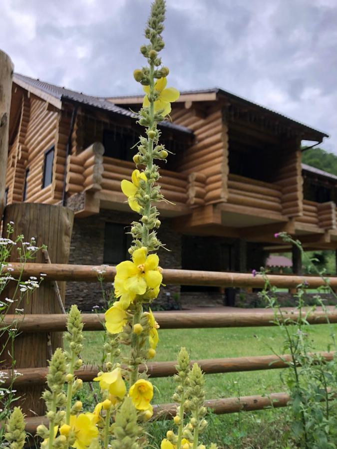 Отель Casa Din Vale Sacuieu Экстерьер фото