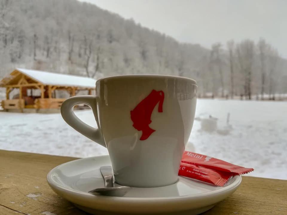 Отель Casa Din Vale Sacuieu Экстерьер фото
