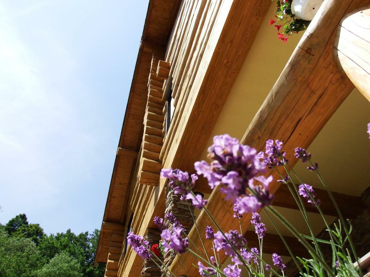 Отель Casa Din Vale Sacuieu Экстерьер фото