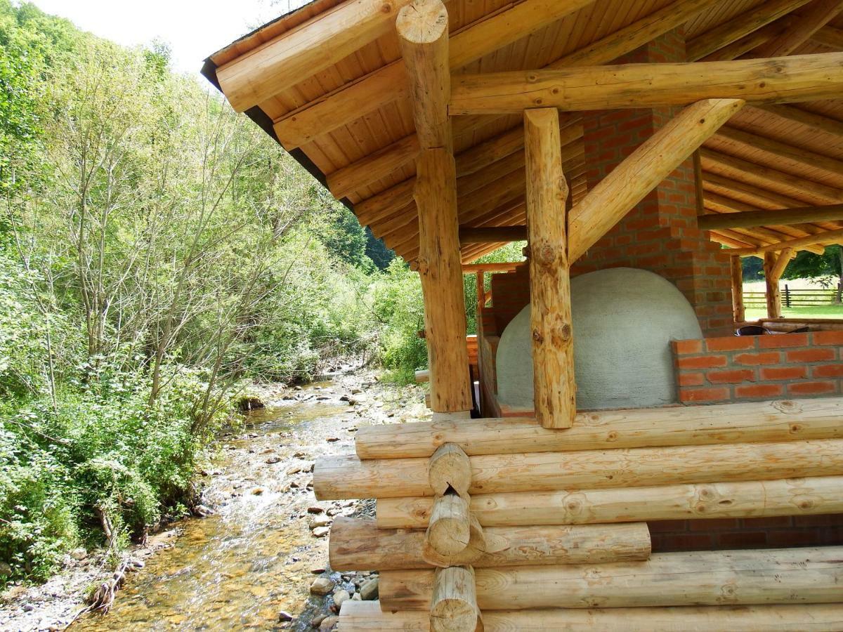 Отель Casa Din Vale Sacuieu Экстерьер фото