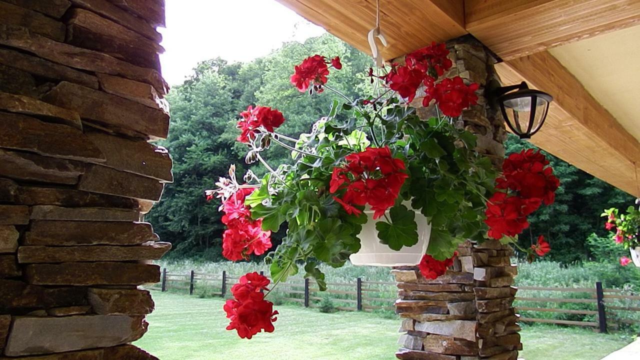 Отель Casa Din Vale Sacuieu Экстерьер фото